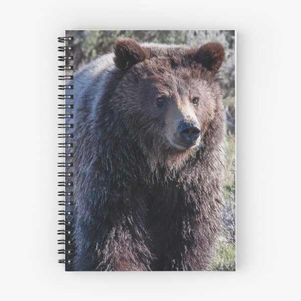 Item preview, Young Griz - Too Close designed and sold by Ken McElroy.