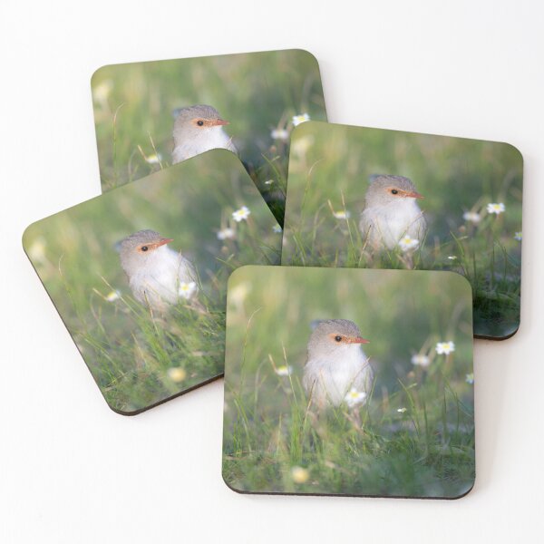 Item preview, Gwen the Blue Wren in the Daisies designed and sold by gwenthewren.