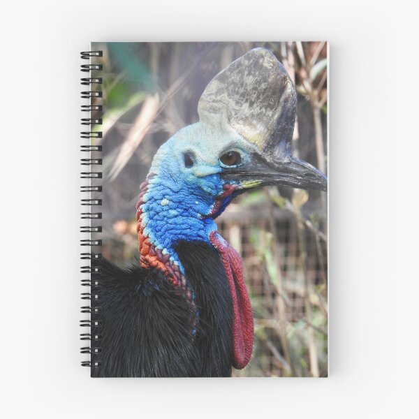 Item preview, Southern Cassowary  designed and sold by Martina Nicolls.