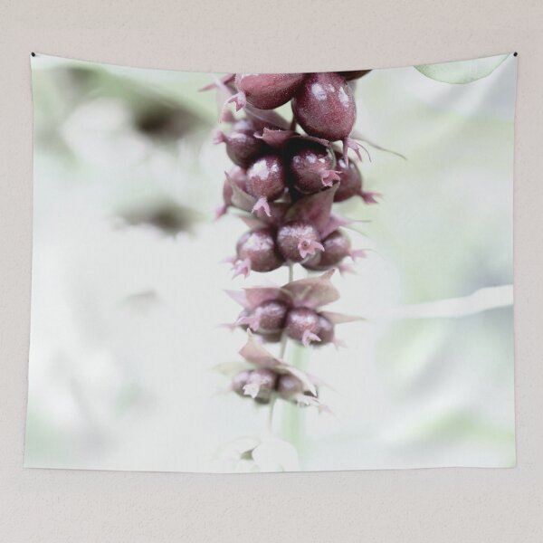 Item preview, Pheasant berry in high key designed and sold by cuprum.