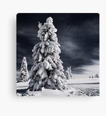 White Ink Canvas Print