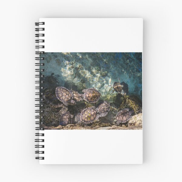 Item preview, Loggerhead turtles designed and sold by julie97.