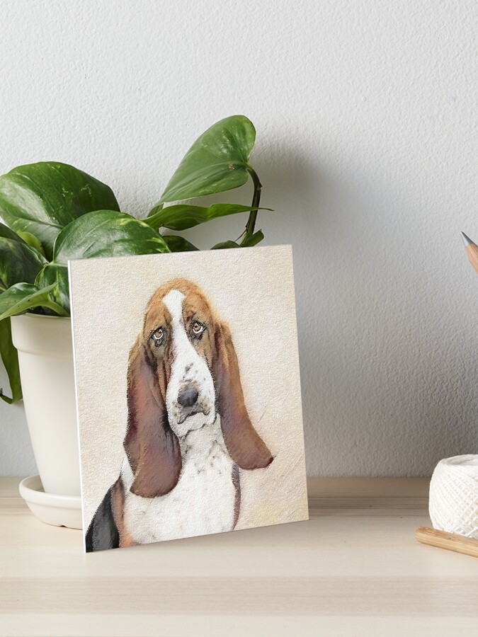 original basset hound