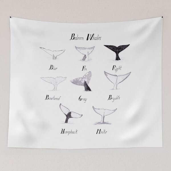 Item preview, Baleen Whales designed and sold by EKeener.