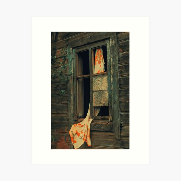 Window Art Print