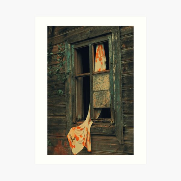 Window Art Print