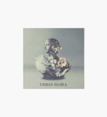 Alina Baraz & Galimatias - Urban Flora Art Board