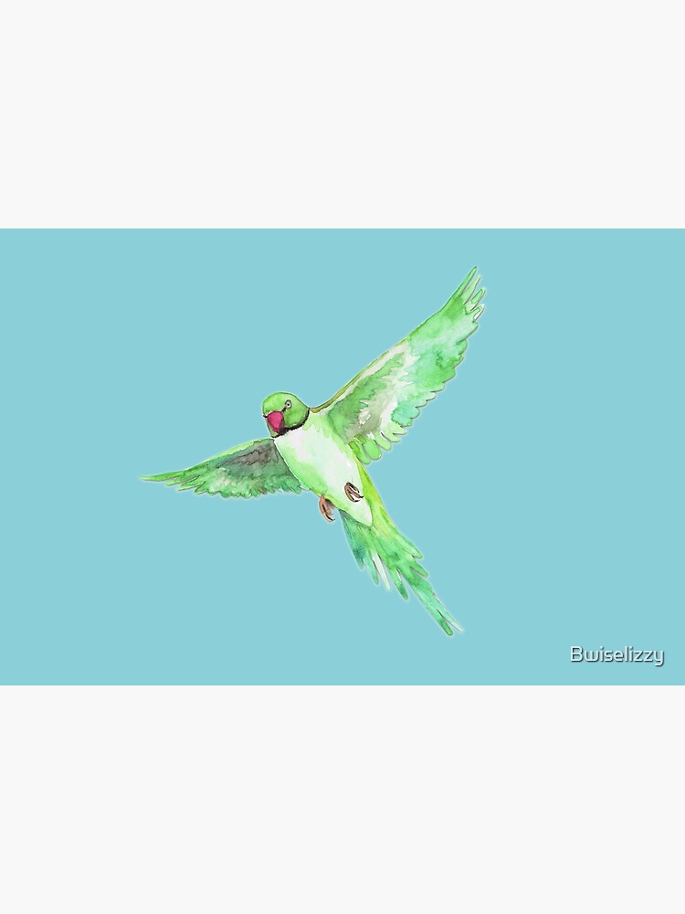 Indian Ringneck Parakeet by Bwiselizzy