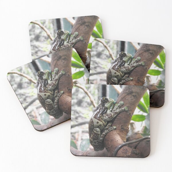 Item preview, Amazon Milk Frog-2 designed and sold by Martina Nicolls.