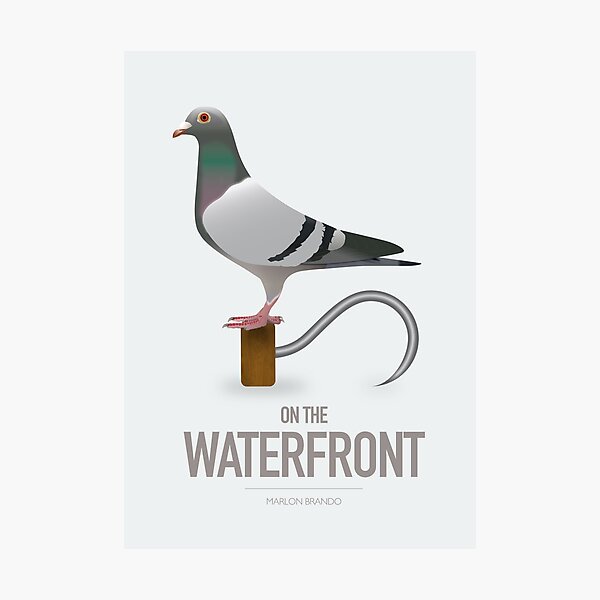 On The Waterfront - Alternative Movie Poster Photographic Print