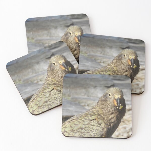 Item preview, Kea  designed and sold by Martina Nicolls.