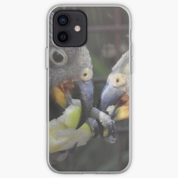 Kea - beak to beak iPhone Soft Case