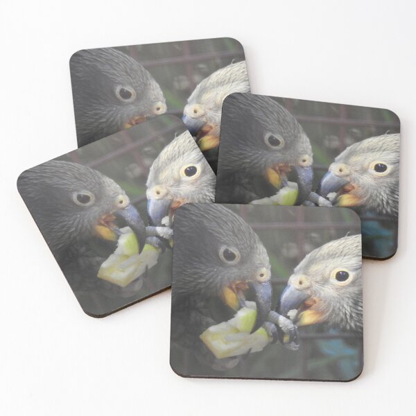 Item preview, Kea - beak to beak  designed and sold by Martina Nicolls.