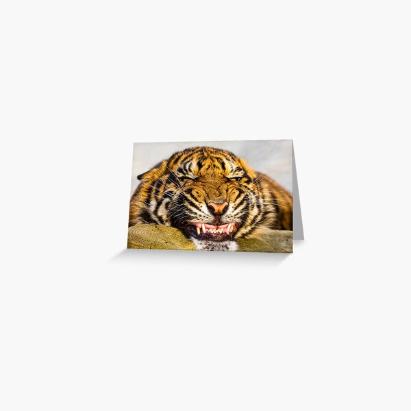 Say cheeeeeeeeeeeeeeeeeeese!!! Greeting Card