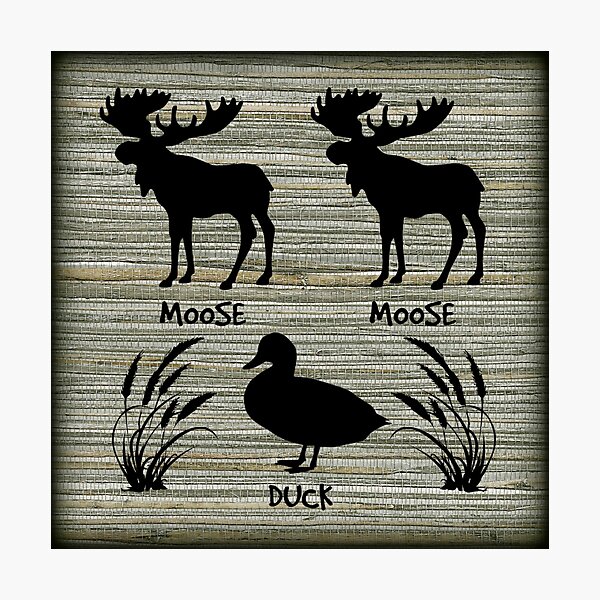 Moose Moose Duck Photographic Print