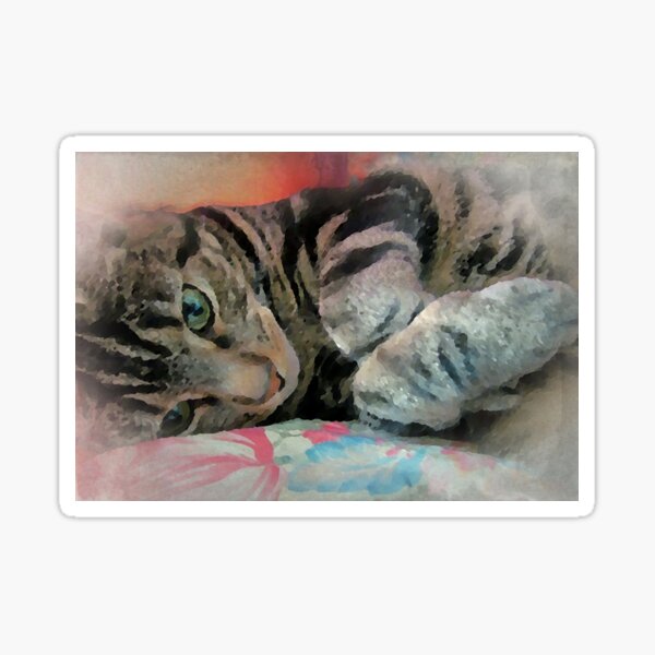 Tabby Kitty on Cushion in Adorable Paws Pose Art Fine Art Sticker