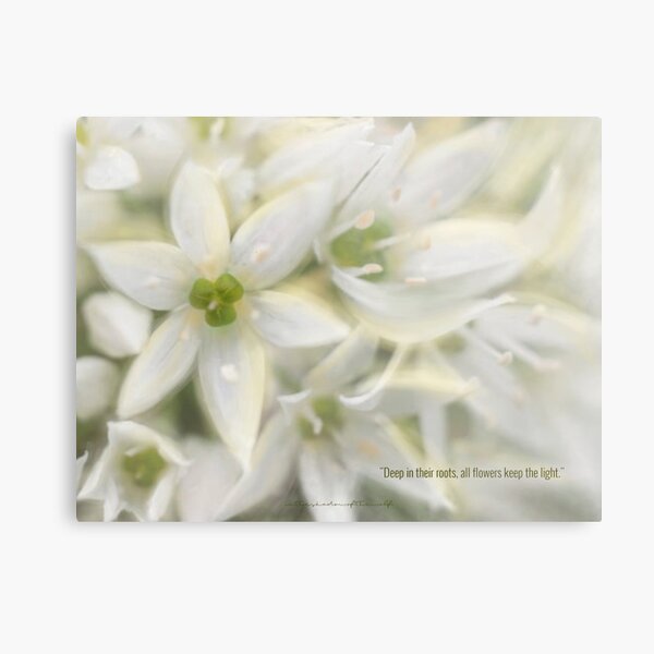 Metal Print