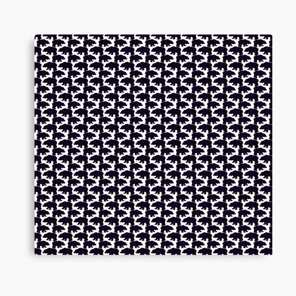  Canvas Print