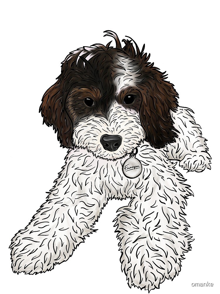 "Cavapoo" Canvas Print by omanke Redbubble