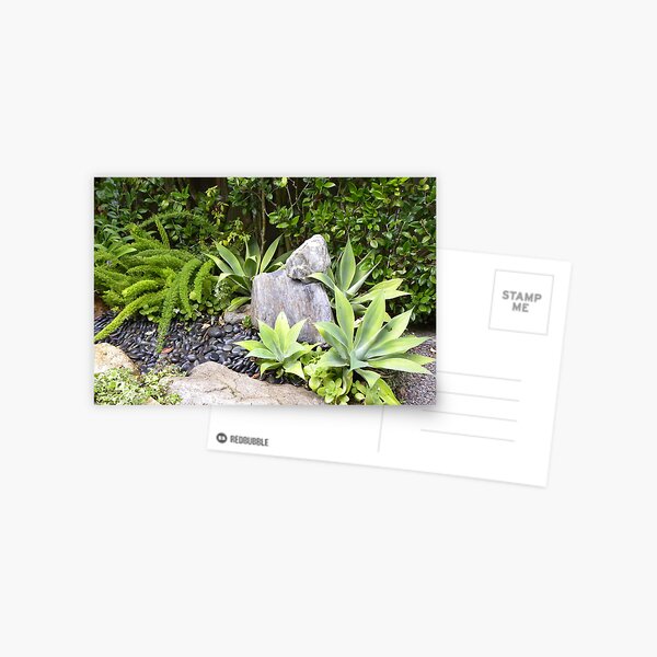 Rock Sculpture Postcard