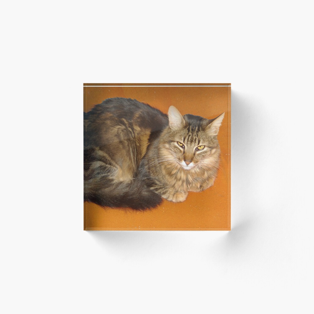 Item preview, Acrylic Block designed and sold by aura2000.