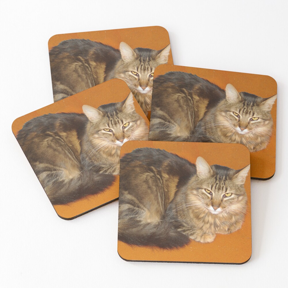 Item preview, Coasters (Set of 4) designed and sold by aura2000.