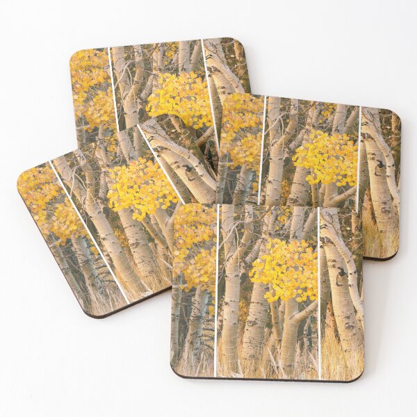 Item preview, Aspens Trio designed and sold by jvnimages.