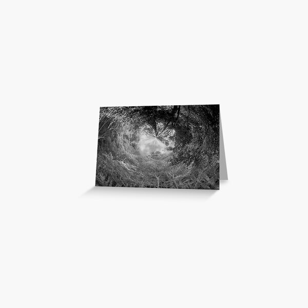 Item preview, Looking Up designed and sold by Louise Linossi Telfer.