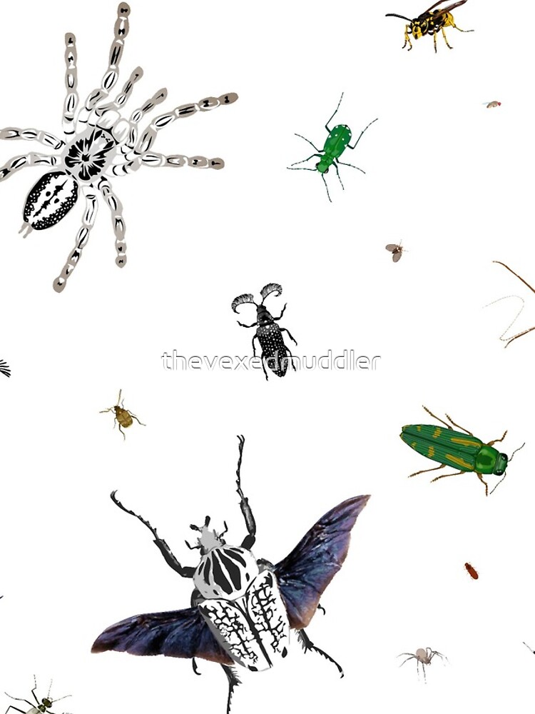 Entomologist's Dream by thevexedmuddler