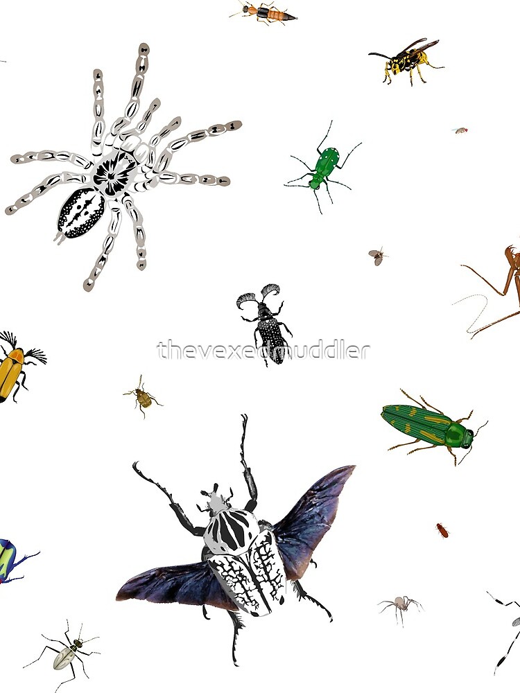 Entomologist's Dream by thevexedmuddler