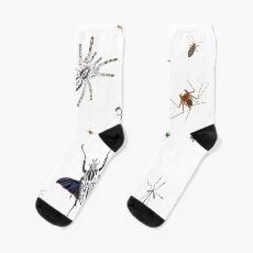 Entomologist's Dream Socks