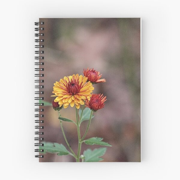 Item preview, PRETTY designed and sold by BOLLA67.