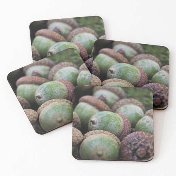 Item preview, Acorns designed and sold by Nalinne Jones.
