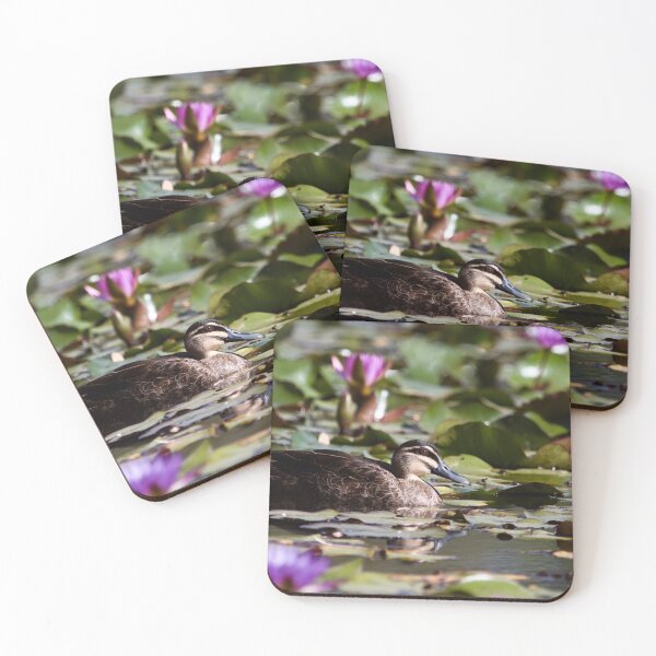 Item preview, Pacific black duck  designed and sold by MargsNaturePix.