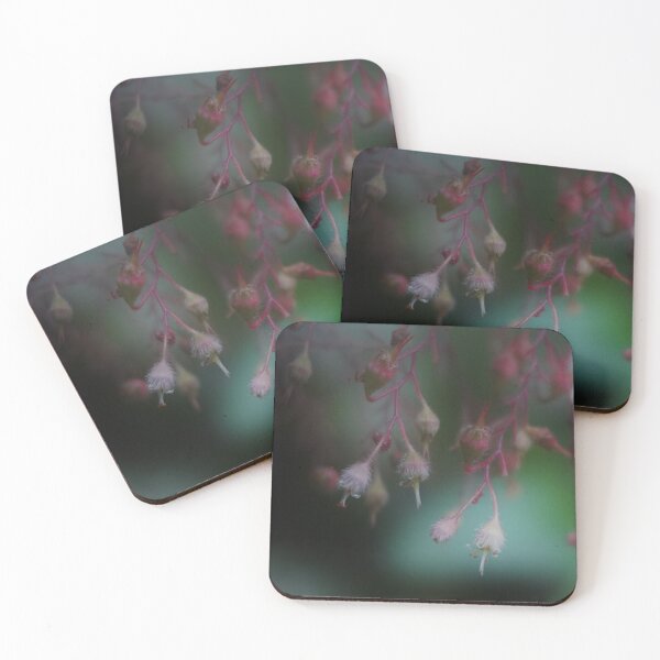 Aperçu de l'œuvre Coral Bells créée et vendue par Nalinne Jones.