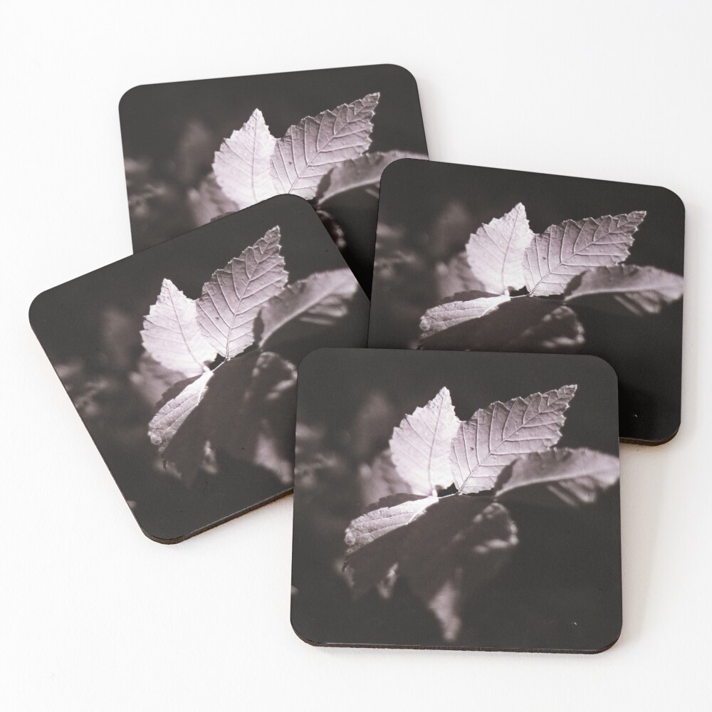 Item preview, Coasters (Set of 4) designed and sold by Ratsrule67.