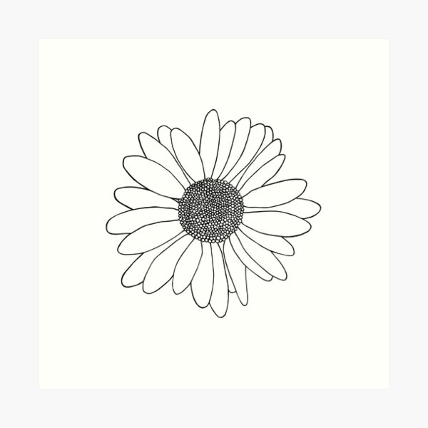 White Daisy Wall Art Redbubble