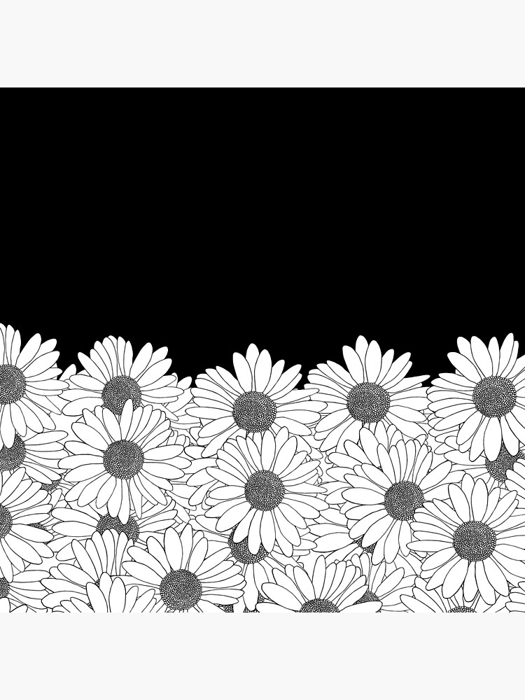 Daisy Boarder by ProjectM
