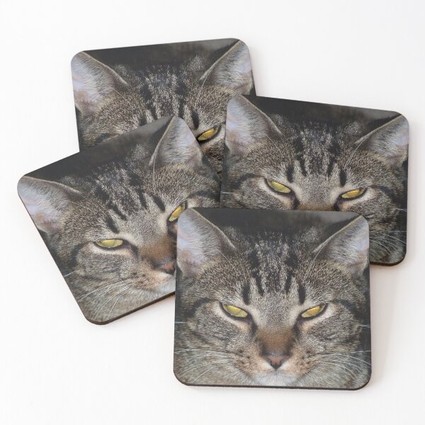 Item preview, Coco the cat designed and sold by Martin Boisvert.