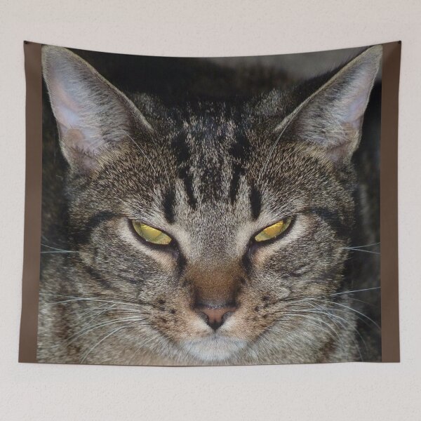 Item preview, Coco the cat designed and sold by Martin Boisvert.
