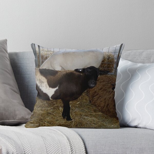 Item preview, Pretty Sheep designed and sold by WildestArt.