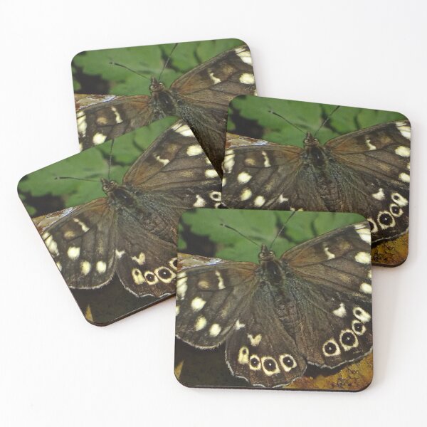 Item preview, WHEN YOU GO DOWN TO THE WOODS TODAY... designed and sold by NICK COBURN PHILLIPS.