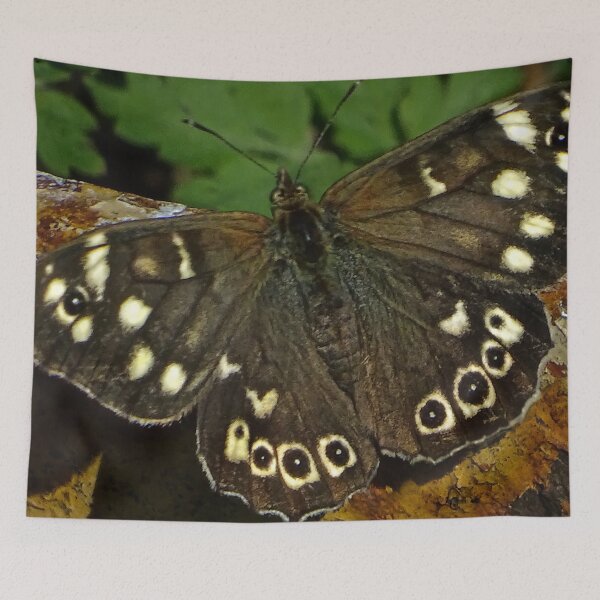 Item preview, WHEN YOU GO DOWN TO THE WOODS TODAY... designed and sold by NICK COBURN PHILLIPS.