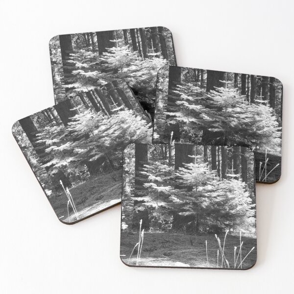Item preview, Sharing the Spotlight designed and sold by Robert Ball.