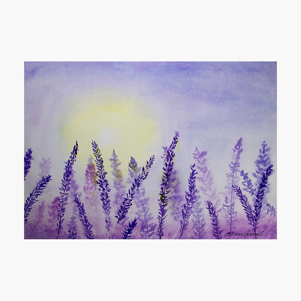 Lavender Fields Watercolor Painting, Purple Floral Watercolor ...
