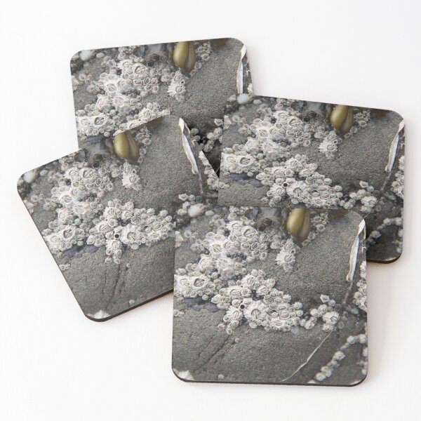 Item preview, Barnacles, Oregon designed and sold by AzHammock.
