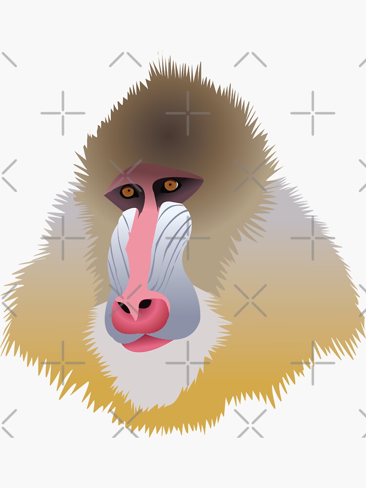 Mandrill Monkey Sticker For Sale By Kcpetportraits Redbubble