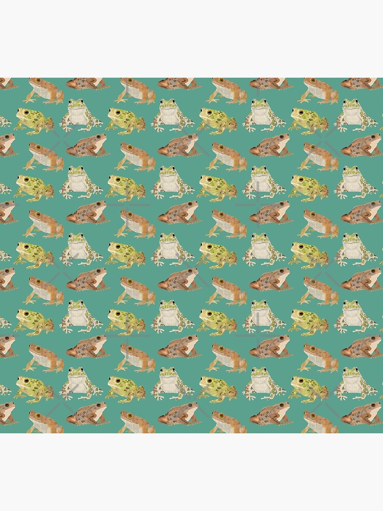 Toads by amymh