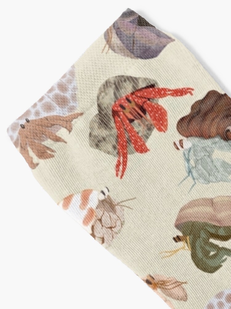 Alternate view of Hermit Crabs Pattern Socks
