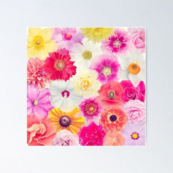 Item preview, Different colorful flower heads for background designed and sold by svetlanna.